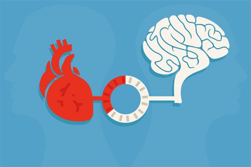 Vernunft und Emotion: das Gleichgewicht, das gute Entscheidungen hervorbringt