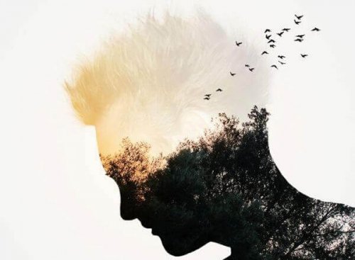 Männliches Profil mit Wald und Vögeln