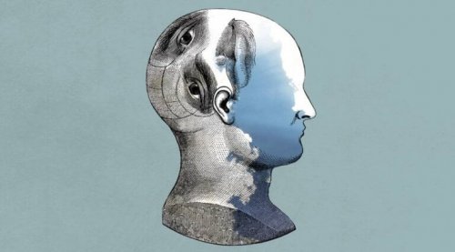 Profil in Grau und Blau