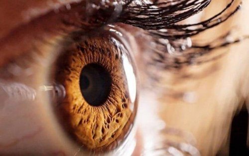 Auge nimmt Lichtreize wahre