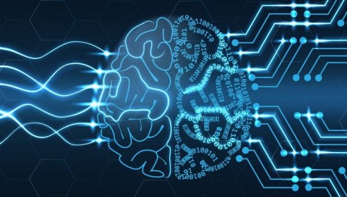 Das Gehirn als Computer: mechanistischer Determinismus oder freier Wille?