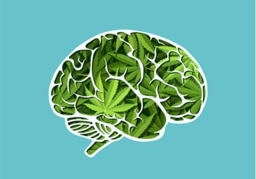 Die langfristigen Auswirkungen von Cannabis auf das Gehirn