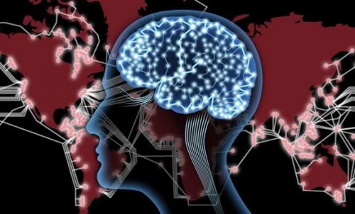 Ein Bild zeigt die neuronalen Verbindungen im Gehirn.