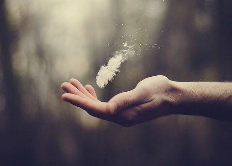 Hand mit Feder