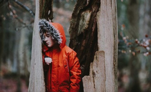 Junge mit roter Jacke in hohlem Baumstamm
