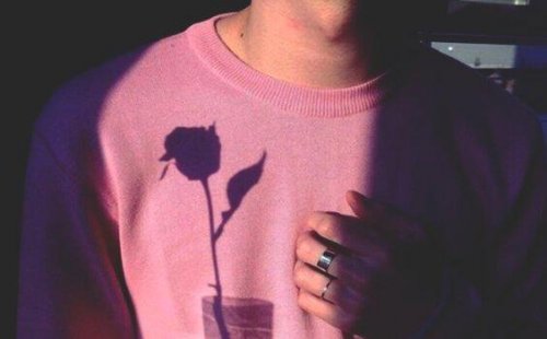Auf dem Pulli eines Jungens sieht man den Schatten einer Rose. 