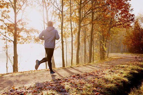 Ein Mann joggt durch den herbstlichen Wald. 