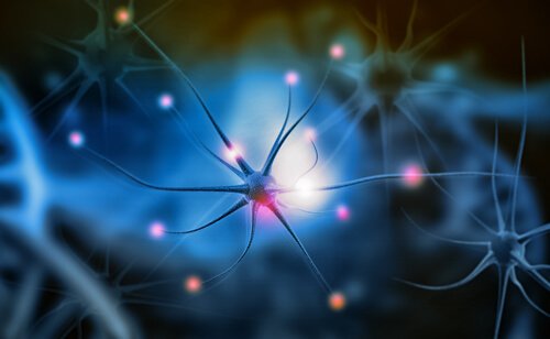 Neuronen