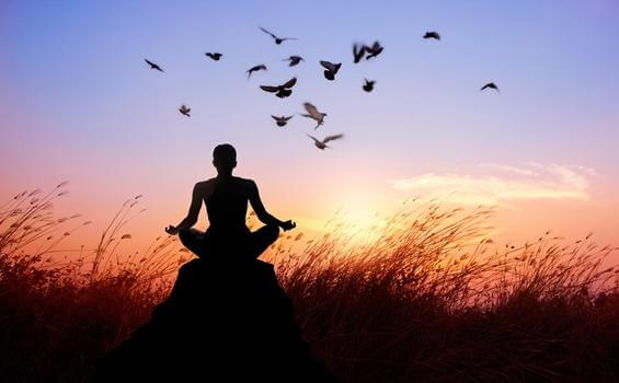 Buddhistischer Mönch, der von Vögeln umgeben meditiert