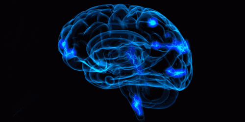 Gehirn in blau mit einigen Signalen