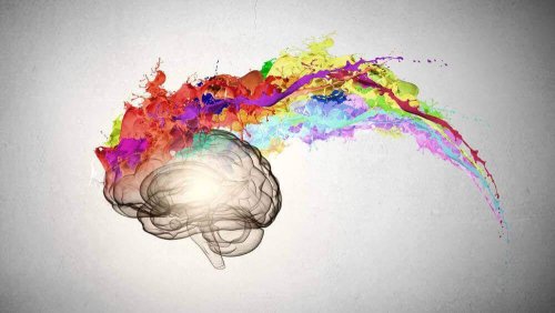 Gehirn mit Farbspritzern
