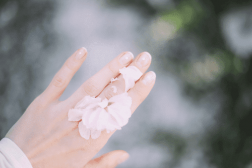 Hand mit zerrissener Blume