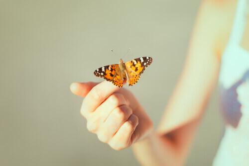 Ein Schmetterling sitzt auf der Hand einer Frau. 