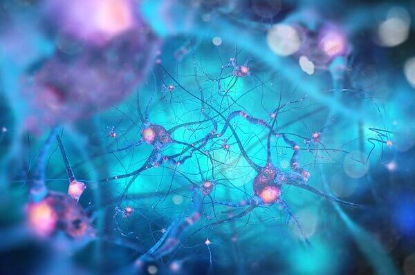Bildliche Darstellung eines neuronalen Netzwerks