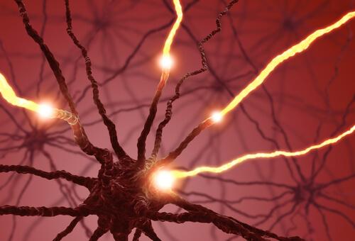 Neuronenverbindungen