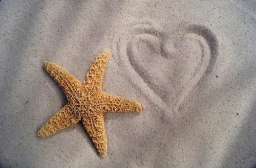 Seestern und Herz