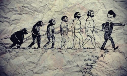 Evolution vom Affen zum Knecht