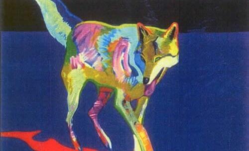 Wolf in bunten Farben