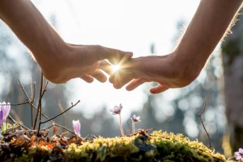 Zwei Hände über einer Blume