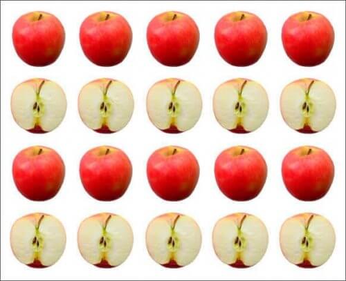 Ganze Äpfel und halbe Äpfel in Linien.