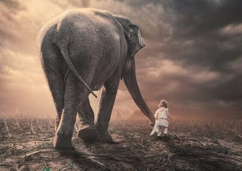 Ein kleines Kind führt einen Elefanten am Rüssel.