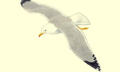 Eine von Hand gezeichnete Möwe fliegt.