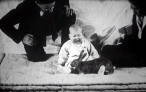Der kleine Albert und ein Kaninchen