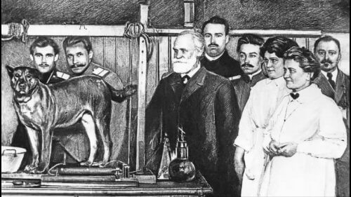 Watsons Vorbild: Pawlow und sein Experiment mit Hunden.