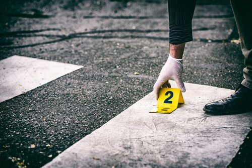 Organisiertes Verbrechen: Motive, Möglichkeiten und Funktionen