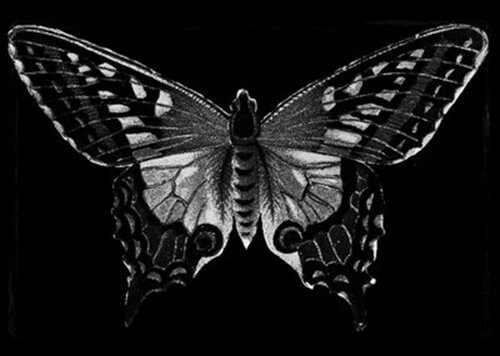 Schwarzer Schmetterling als Symbol für das Böse und den D-Faktor