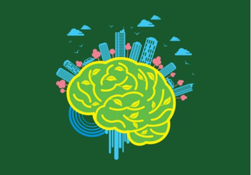 Neuroarchitektur: Die Wirkung der Umwelt auf das Gehirn