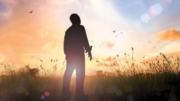 Mann, der in einem Feld steht