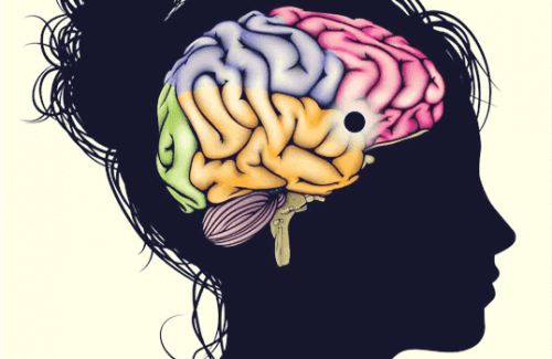 Der Nucleus accumbens: Ein Zentrum des Lernens, der Motivation und des Vergnügens