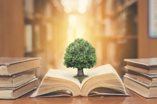 Ein Baum wächst aus einem Buch heraus.