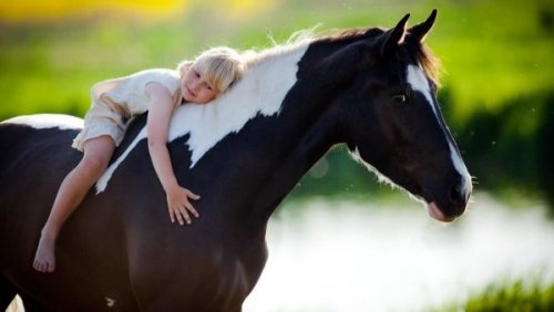 Ein Mädchen umarmt ein Pferd.