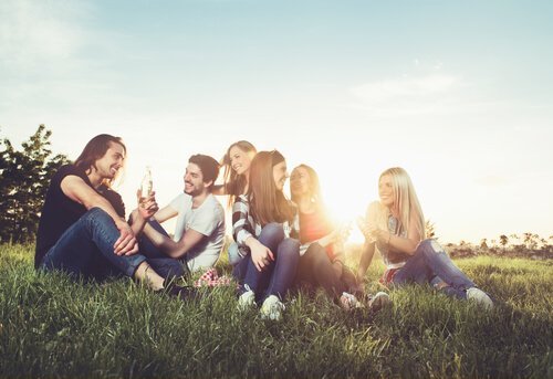 Gruppe von Freunden auf der Wiese