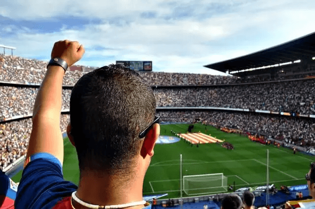 Fußballfan im Stadion