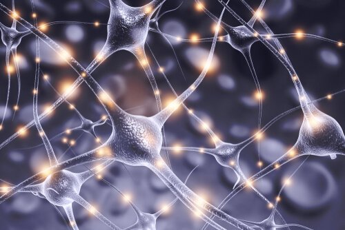 Konnektionismus und Neuronen