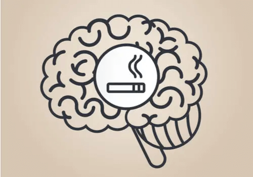 Nikotin: Wie wirkt es sich auf das Gehirn aus?