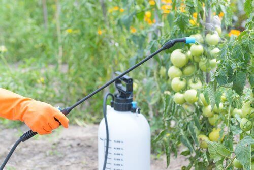 Der Einsatz von Pestiziden in der Landwirtschaft ist weitverbreitet. 