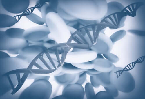 Epigenetik: Können wir Tragödien erben?