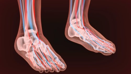Die Ursachen einer peripheren Neuropathie können vielseitig sein