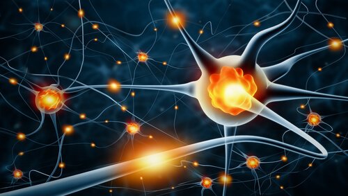 Periphere Neuropathie kann die Folge einer Verletzung, Infektion oder genetischen Störung sein