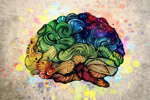 Die Wirkung von Kunst auf unser Gehirn