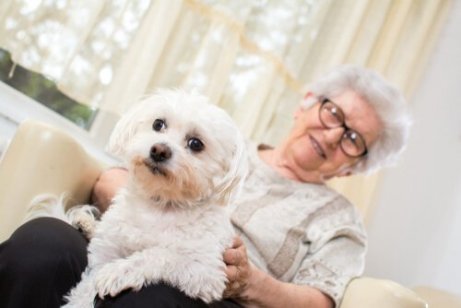 Eine ältere Dame mit einem Schoßhund.