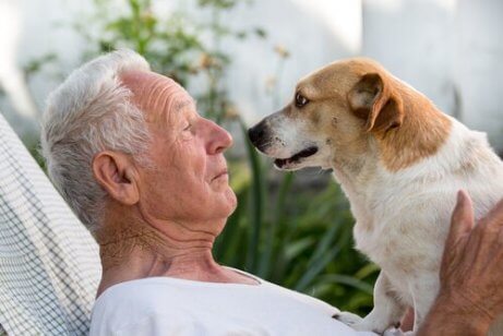 Ein älterer Mann und ein Hund stehen sich gegenüber.