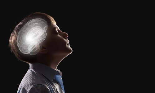 Bauchgefühl - Gehirn