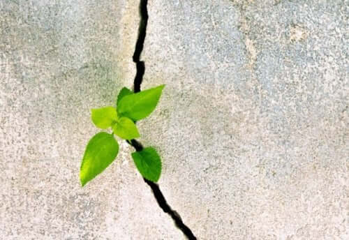 Resilienz kann geschaffen und stimuliert werden