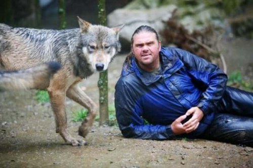 Shaun Ellis: Ein Mann unter Wölfen