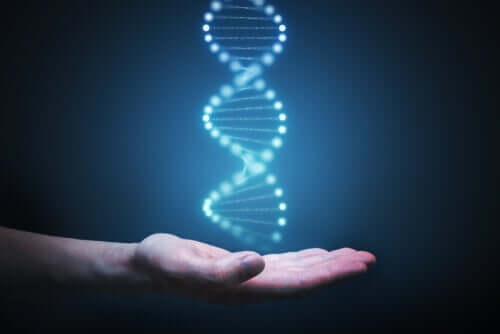 Es gibt nicht genügend Studien über die individuelle Genetik und die differentielle Epidemiologie